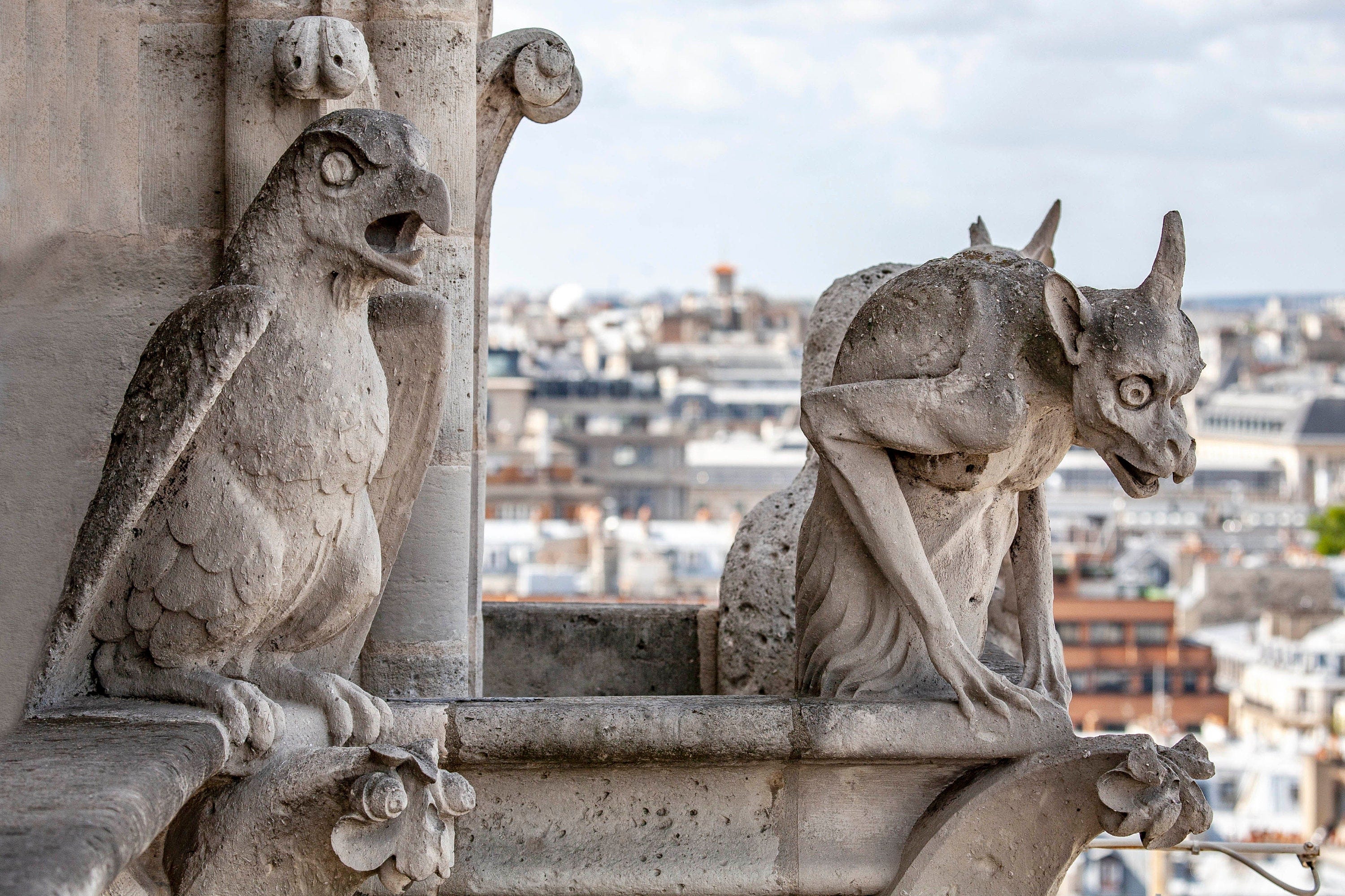 Gargoyles Notre Dame Cathedral Paris