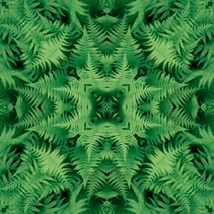 Fern kaleidoscope 