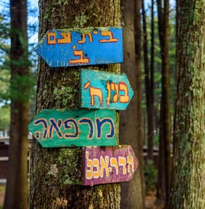 Let's Talk About Sects, Baby