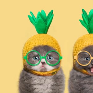 Ask The Community/Open Thread!